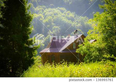 Cozy Wooden House Hidden in Sunlit Forest Hills 136993761