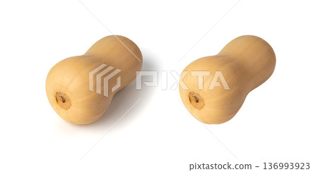 Butternut squash isolated on white. Raw fresh autumn pumpkin, ripe orange gourd 136993923