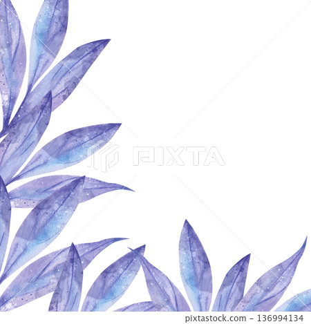 Delicate hand-drawn watercolor template with blue and purple leaves in the corner and central text space on white background. For botanical design cosmetic packaging, invitations, covers, accessories Delicate hand-drawn watercolor template with blue and purple leaves in the corner and central text space on white background. For botanical design cosmetic packaging, invitations, covers, accessories 136994134