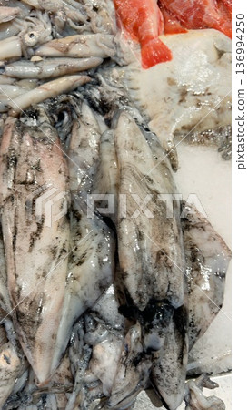 Seafood presentation featuring icy squid bodies and tentacles 136994250