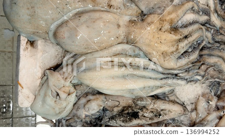 Closeup of iced squid with glistening skin and vivid tentacles Closeup of iced squid with glistening skin and vivid tentacles 136994252