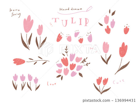 手繪鬱金香插圖集 136994431