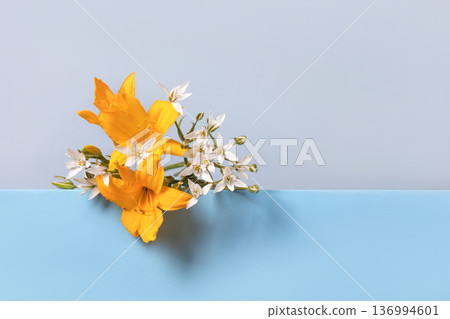 Blue podium and yellow lily flowers and ornithogalum flowers on blue background. Concept scene stage showcase for new product, banner, promotion sale, cosmetic, presentation. Blue podium and yellow lily flowers and ornithogalum flowers on blue background. Concept scene stage showcase for new product, banner, promotion sale, cosmetic, presentation. 136994601