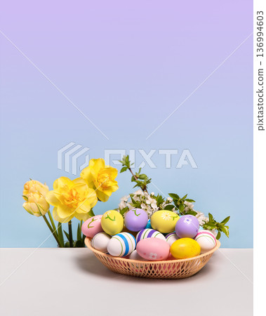 Multicolored Easter eggs in a basket with spring flowers: blooming spring cherry branches and yellow daffodils on gray table on a gradient purple and blue background. Easter concept 136994603