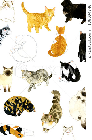 可愛的貓咪背景 - 手繪水彩寵物和動物插圖 136994846