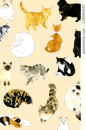 可愛的貓咪背景 - 手繪水彩寵物和動物插圖 136994847