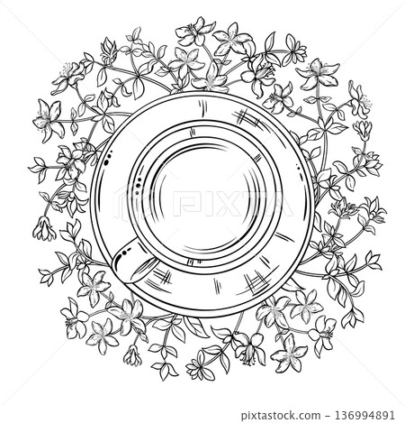 Cup of Tutsan Tea Outline Illustration. Cup of Tutsan Tea Outline Illustration. 136994891