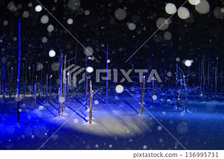 Illuminated Blue Pond and Snowball Bokeh Illuminated Blue Pond and Snowball Bokeh 136995731