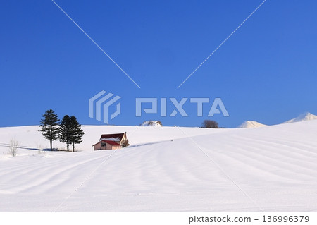 Winter scenery seen from a winter hill: Red-roofed house Winter scenery seen from a winter hill: Red-roofed house 136996379