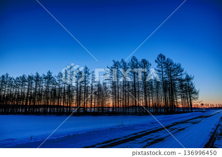 Early morning in Tokachi, Hokkaido, the winter sky changes from blue to orange Early morning in Tokachi, Hokkaido, the winter sky changes from blue to orange 136996450