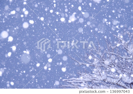 大雪 136997043