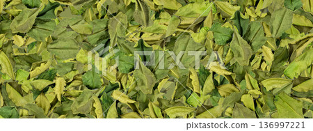Thai lime dried leaves pattern Thai lime dried leaves pattern 136997221