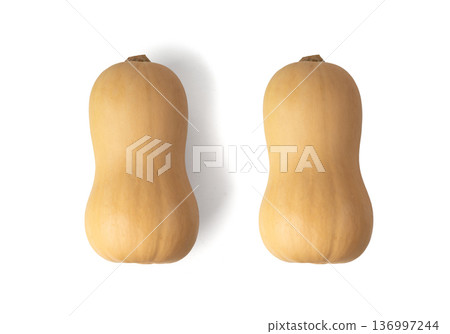 Butternut squash isolated on white. Raw fresh autumn pumpkin, ripe orange gourd 136997244