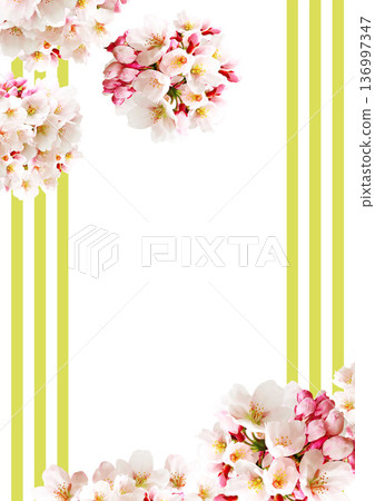 Cherry blossom background Cherry blossom background 136997347