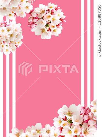 Cherry blossom background Cherry blossom background 136997350