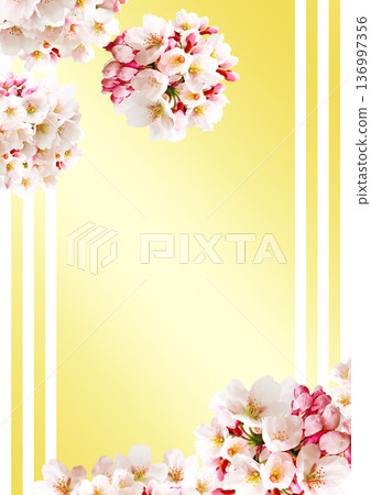 Cherry blossom background Cherry blossom background 136997356