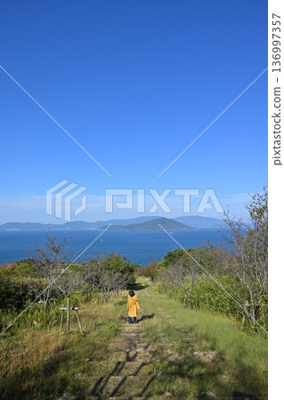 可以看到大海的山丘 136997357