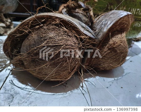 old coconut whose outer skin has been peeled  136997398