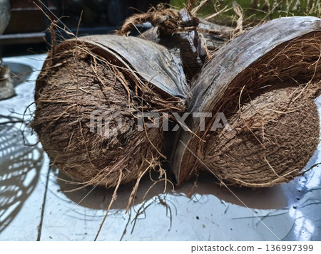 old coconut whose outer skin has been peeled old coconut whose outer skin has been peeled 136997399