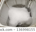 foam in the washing machine  136998155