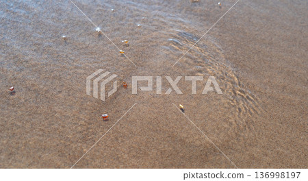 Amber stones on sea coast. Amber gems search on Baltic sea shore, fossilized tree resin crystals on sand Amber stones on sea coast. Amber gems search on Baltic sea shore, fossilized tree resin crystals on sand 136998197
