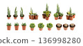 Mini cactus collection, tiny succulents for plant terrarium, office table plants 136998280