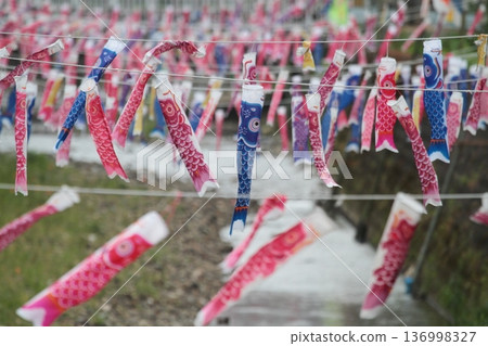 很多可愛的鯉魚飄帶 136998327