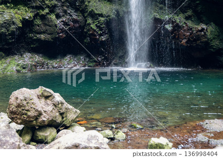 Close view of Caldeirao Verde waterfall Madeira, ripples in emerald basin below laurel cliff Close view of Caldeirao Verde waterfall Madeira, ripples in emerald basin below laurel cliff 136998404