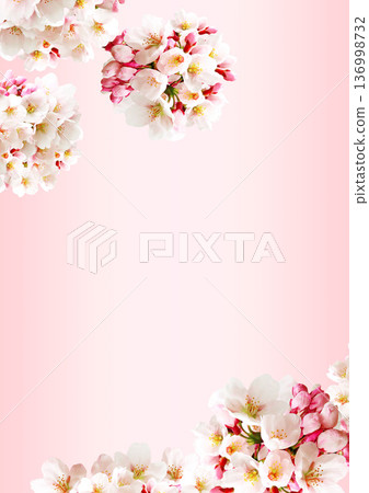 Cherry blossom background Cherry blossom background 136998732