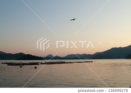 Sunset sky and birds Sunset sky and birds 136999278