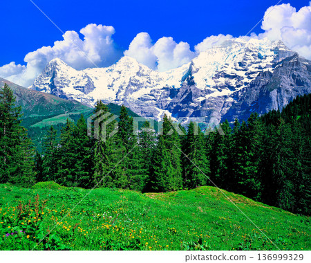 Spectacular views of the three mountains of the Bernese Oberland 136999329