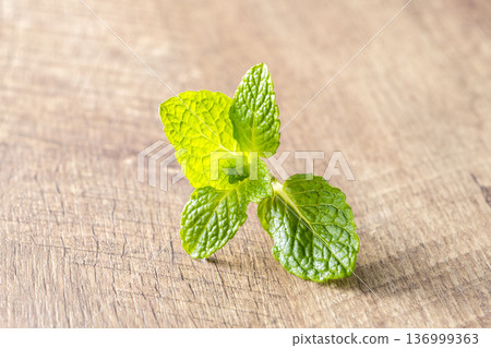 採摘的美麗薄荷葉 採摘的美麗薄荷葉 136999363