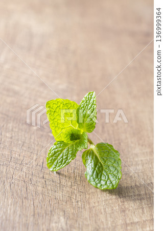 Beautiful mint leaves picked Beautiful mint leaves picked 136999364