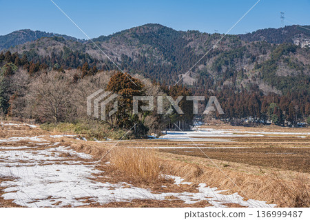 Rural scenery of Lake Biwa in early spring, Nagahara, Nagahama City, Shiga Prefecture Rural scenery of Lake Biwa in early spring, Nagahara, Nagahama City, Shiga Prefecture 136999487