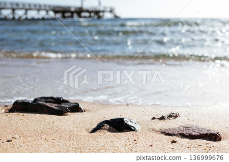 Dark stones on Sandy Beach with Pier and Sparkling sea Water. Low angle view of dark rocks scattered on golden sandy beach with gentle waves and wooden pier in background. Sandy beach of the red sea. Dark stones on Sandy Beach with Pier and Sparkling sea Water. Low angle view of dark rocks scattered on golden sandy beach with gentle waves and wooden pier in background. Sandy beach of the red sea. 136999676