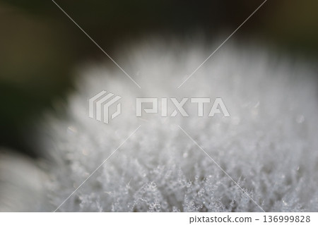 Fluffy fluff 136999828