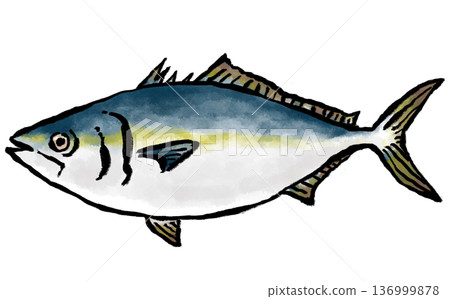 新鮮的黃尾魚日式插畫 新鮮的黃尾魚日式插畫 136999878