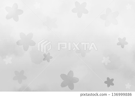 灰色背景上盛開著許多櫻花。 136999886