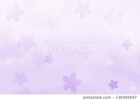 A background of many pale purple cherry blossoms in bloom 136999897