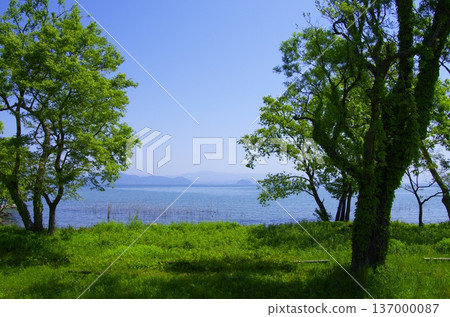 滋賀縣：湖畔草原景色，綠意盎然，藍天白雲 137000087