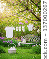 Washing baby clothes 137000267