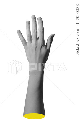 Open hand facing viewer isolated background. Vertical palm with extended fingers minimal composition. Nonverbal communication and attention concept.. Open hand facing viewer isolated background. Vertical palm with extended fingers minimal composition. Nonverbal communication and attention concept.. 137000328