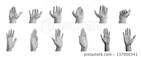 Open palms waving greeting holding isolated background. Hands offering handshake display gesture set. Communication welcome interaction concept.. 137000341