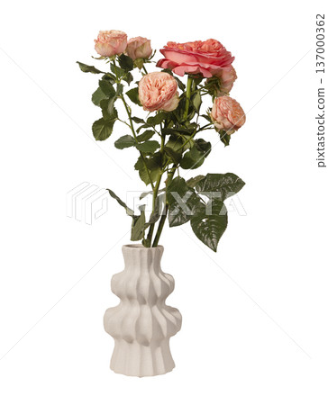 Rosa multiflora bouquet in sculptural ceramic vase isolated background. Peach spray roses minimal interior styling composition. Spring floral decor concept.. 137000362