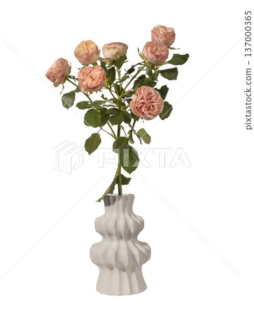 Rosa multiflora peach bouquet in ceramic vase isolated background. Garden spray roses minimal interior decor composition. Spring floral concept.. Rosa multiflora peach bouquet in ceramic vase isolated background. Garden spray roses minimal interior decor composition. Spring floral concept.. 137000365