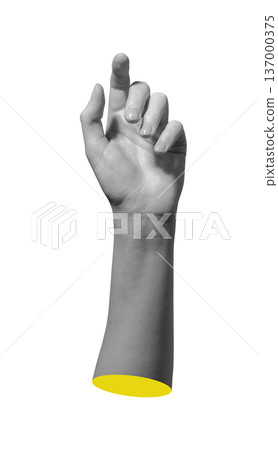 Single hand lifted with bent fingers isolated on white background. Human arm creates vertical gesture pose. Expression, communication, attention concept.. 137000375