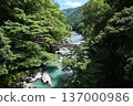Iya的Kazura橋 137000986