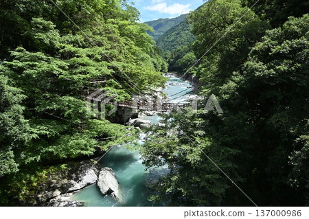 Iya的Kazura橋 137000986