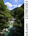 Iya的Kazura橋 137001063