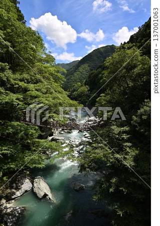 Iya的Kazura橋 137001063